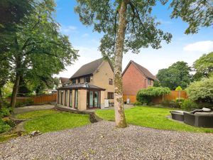 Rear Garden- click for photo gallery